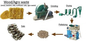 Wood Pelletizer