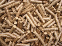 World wood pellet production booms