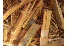 fuel pellets biomass and bamboo pellets