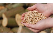 learn about quality pellets